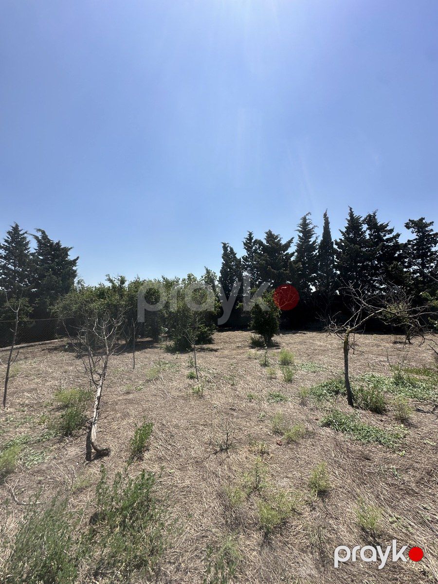 30 sot torpaq sahəsi, Novxanı qəs. — Torpaq, Bakı (8)