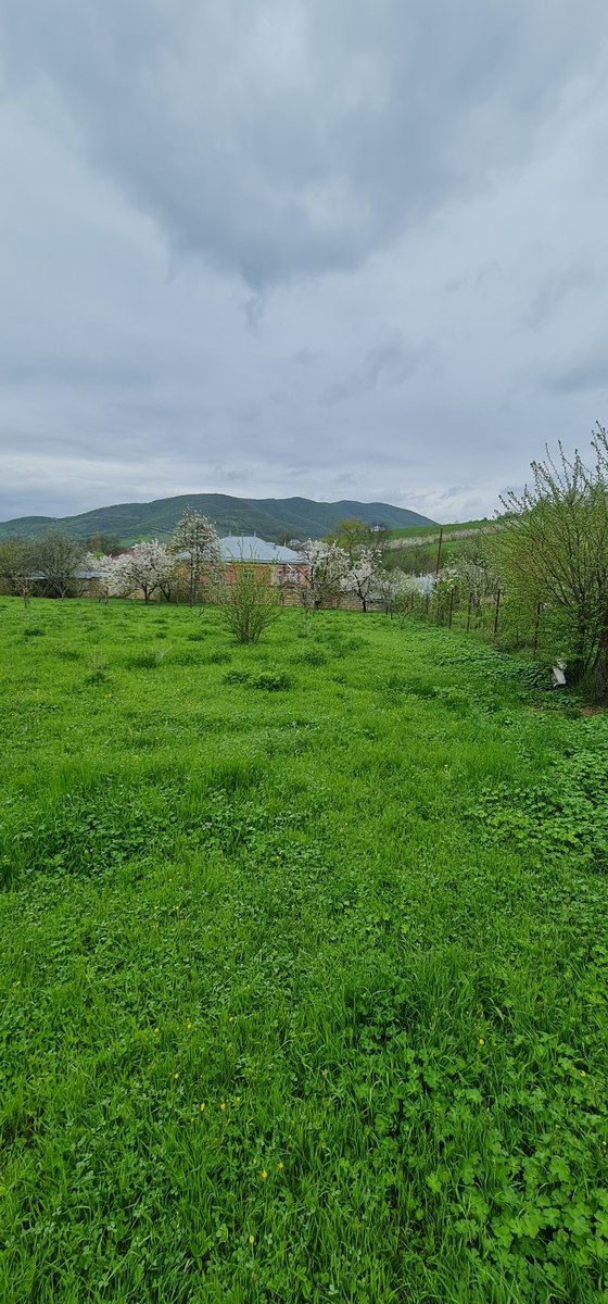 12 sot torpaq sahəsi, Quba r. — Torpaq, Quba (5)