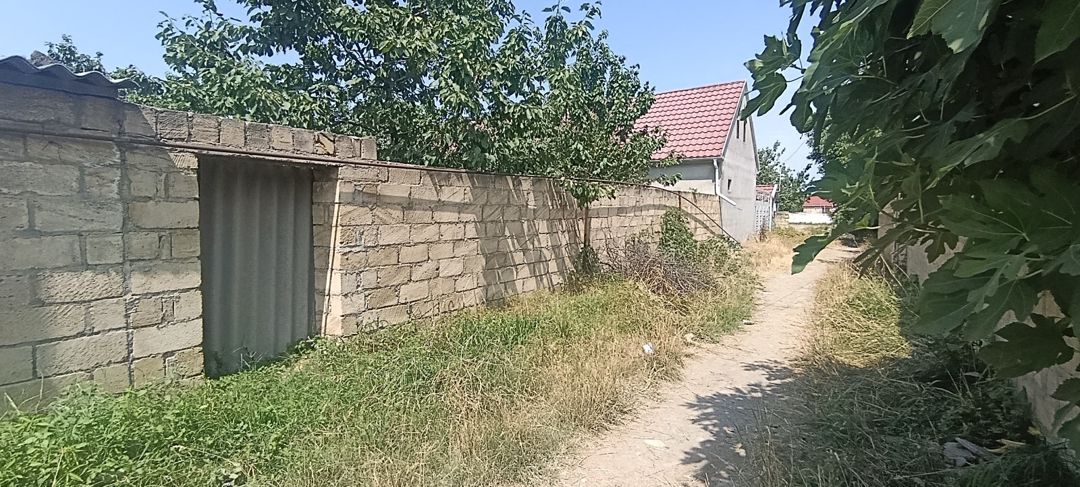 5 sot torpaq sahəsi, Quba r. — Torpaq, Quba (2)