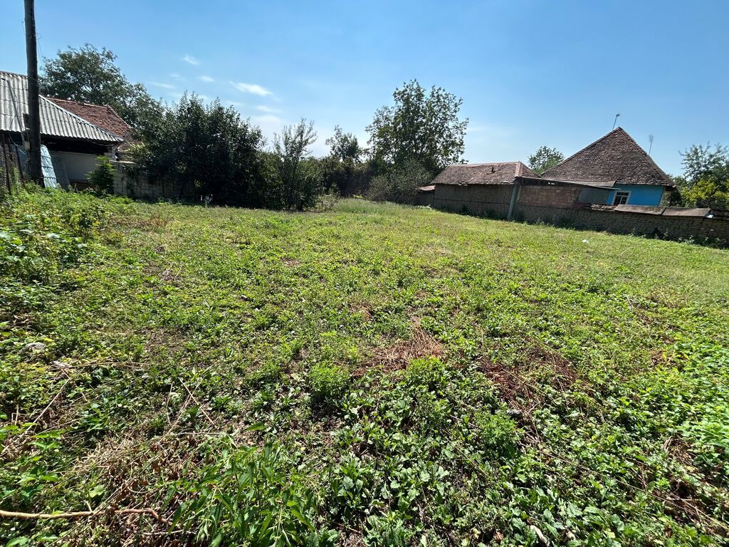 8 sot, Tikinti, Maklerlər narahat etməsin, Kupça (Çıxarış) — Torpaq, Qəbələ (5)
