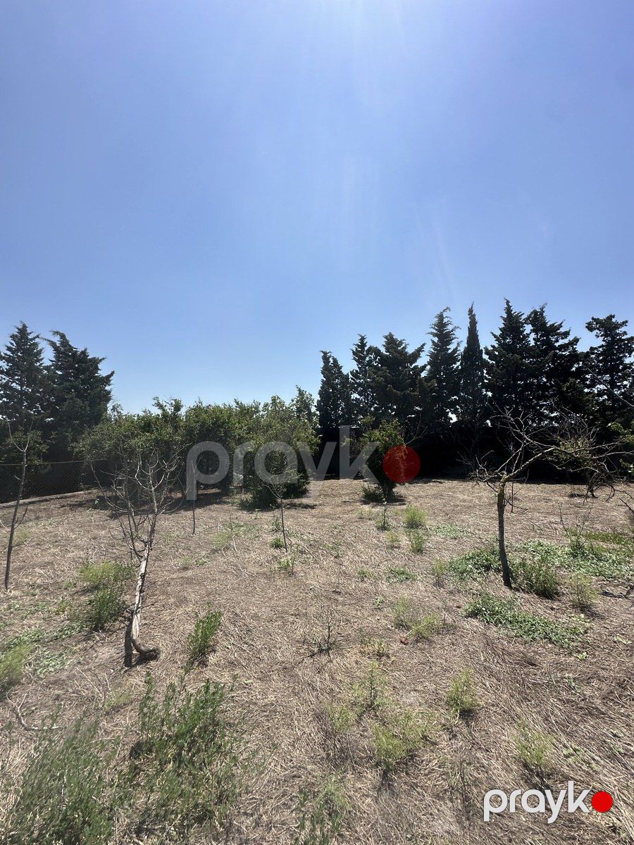 30 sot torpaq sahəsi, Novxanı qəs. — Torpaq, Bakı (4)