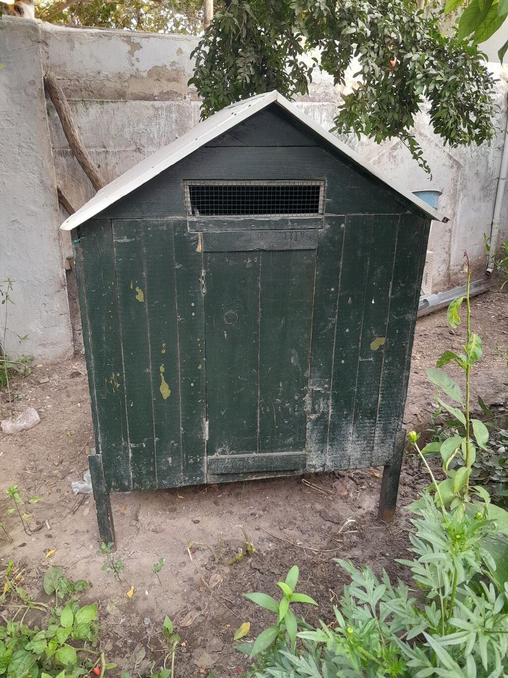 Taxtadan hazırlanmış toyuq hinisi satılır. Hini hündür ayaqlar — Heyvanlar, Bakı