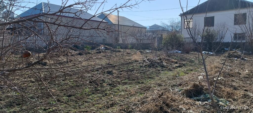 8 sot, Tikinti, Makler, Kupça (Çıxarış) — Torpaq, Şəmkir (3)