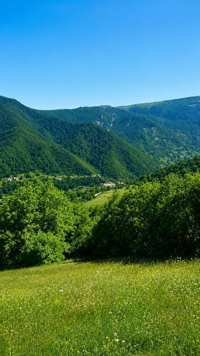 100 sot torpaq sahəsi, Quba r. — Torpaq, Quba (2)