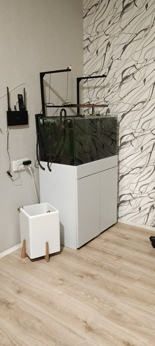 Akvarium — Akvariumlar və balıqlar, Bakı (6)