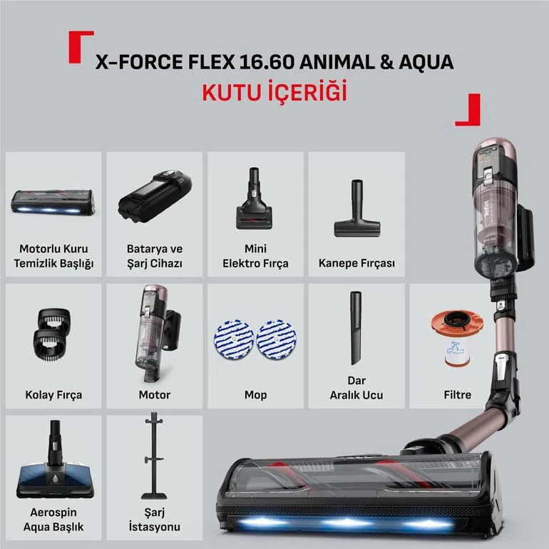 Tefal tozsoran — Mallar, Bakı (2)