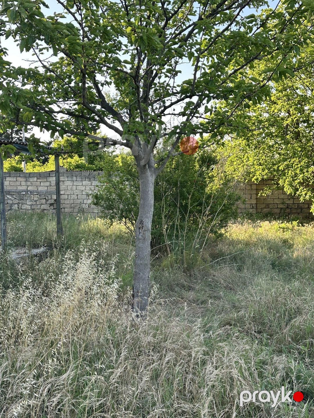 4 sot torpaq sahəsi, Novxanı qəs. — Torpaq, Bakı (2)