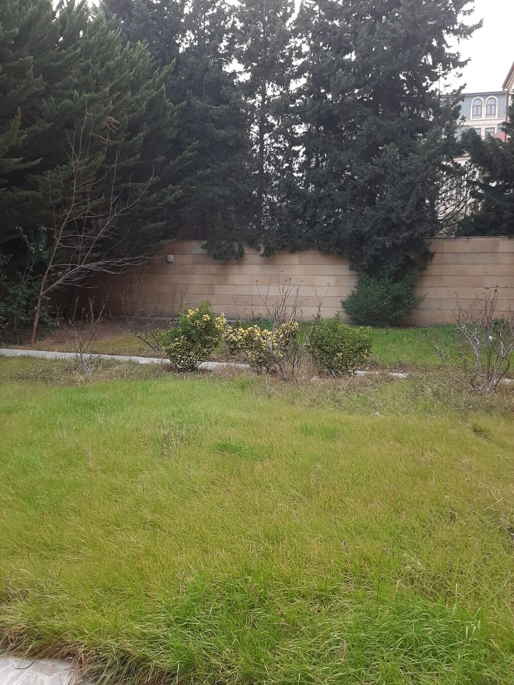 T. Əliyev küçəsində. Mülkiyyətdə 650m² olan. 7 sotda 4mərtəbəli 8 — Daşınmaz əmlak, Bakı (4)