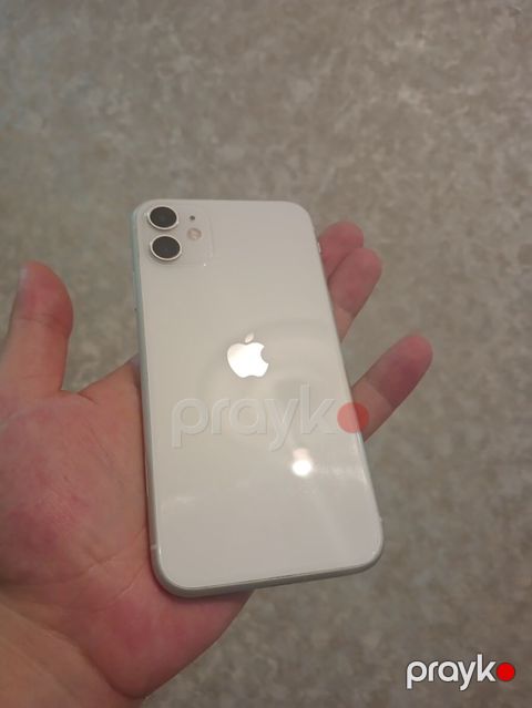 IPhone 11, Ağ
