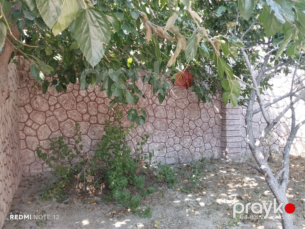 3 otaqlı, 85 kv. m, Kredit var, Yeni təmirli — Daşınmaz əmlak, Xocavənd (3)