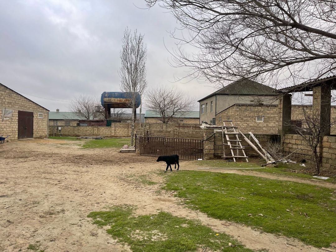 380 sot torpaq sahəsi, Suraxanı r. — Torpaq, Bakı (4)