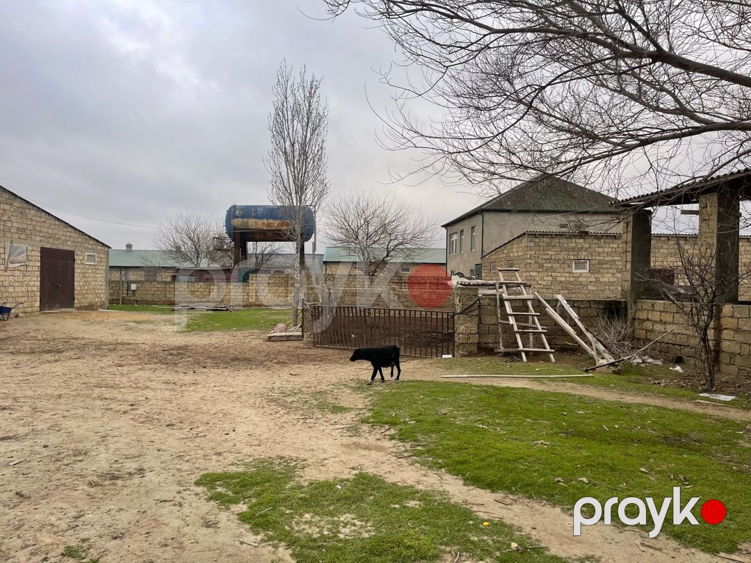 380 sot torpaq sahəsi, Suraxanı r. — Torpaq, Bakı (4)