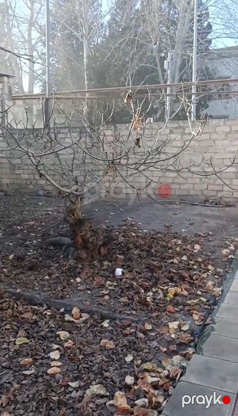 Kənd təsərrüfatı, Makler, Kupça (Çıxarış)