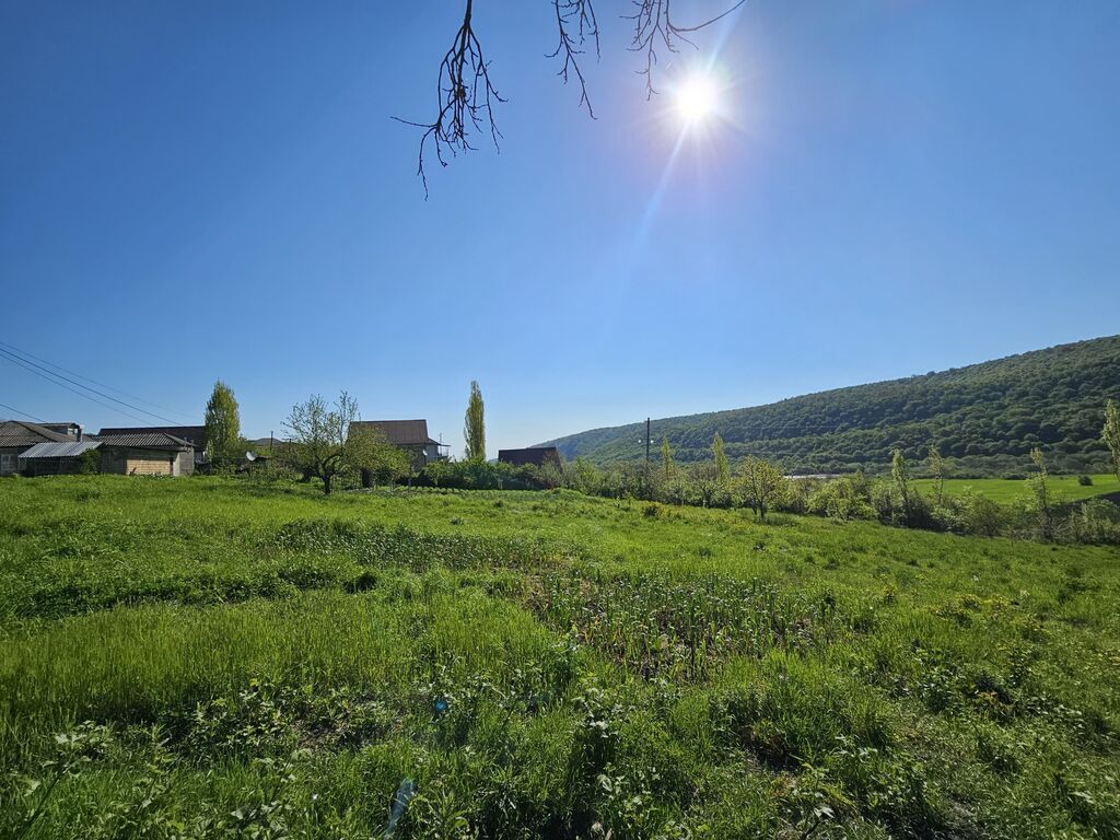12 sot, Tikinti, Mülkiyyətçi, Kupça (Çıxarış) — Torpaq, Qusar (5)