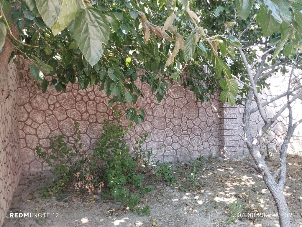 Xocavənd, 85 kv. m, 3 otaqlı, Hovuzsuz, İşıq — Daşınmaz əmlak, Xocavənd (3)