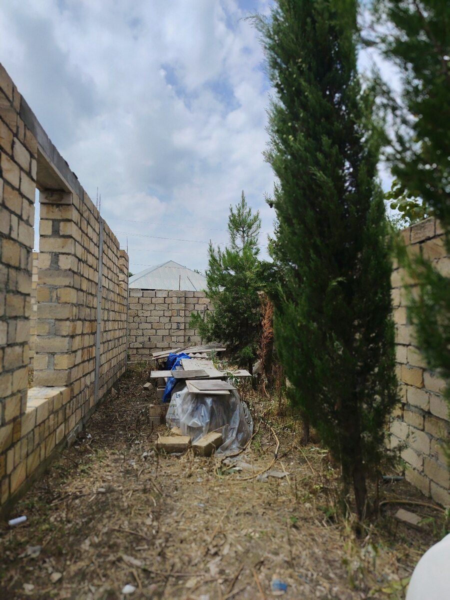 3 sot torpaq sahəsi, Şəki ş. — Torpaq, Şəki (3)