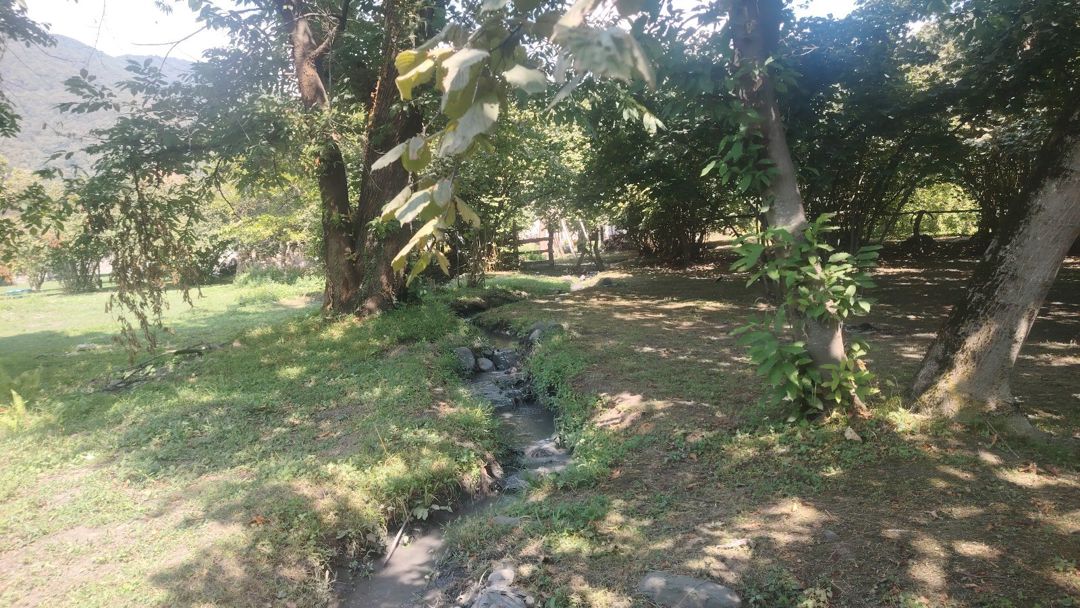 10 sot torpaq sahəsi, Zaqatala ş. — Torpaq, Zaqatala (3)