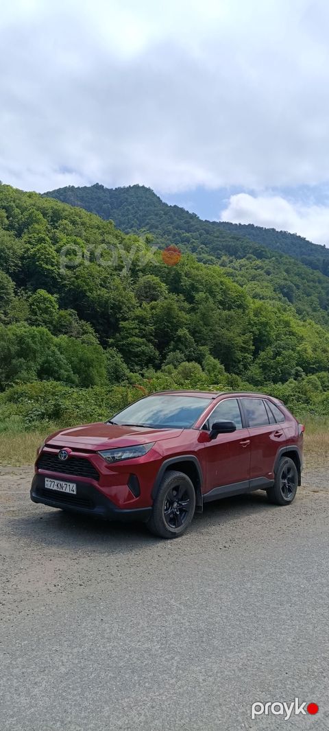 Toyota RAV4: 2.5 l | 2022 il Krossover