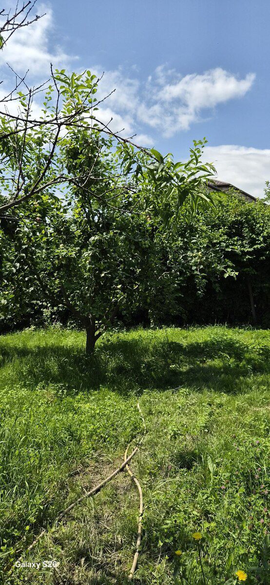 Земельный участок 4 сот, г. Гусар. — Torpaq, Quba (8)