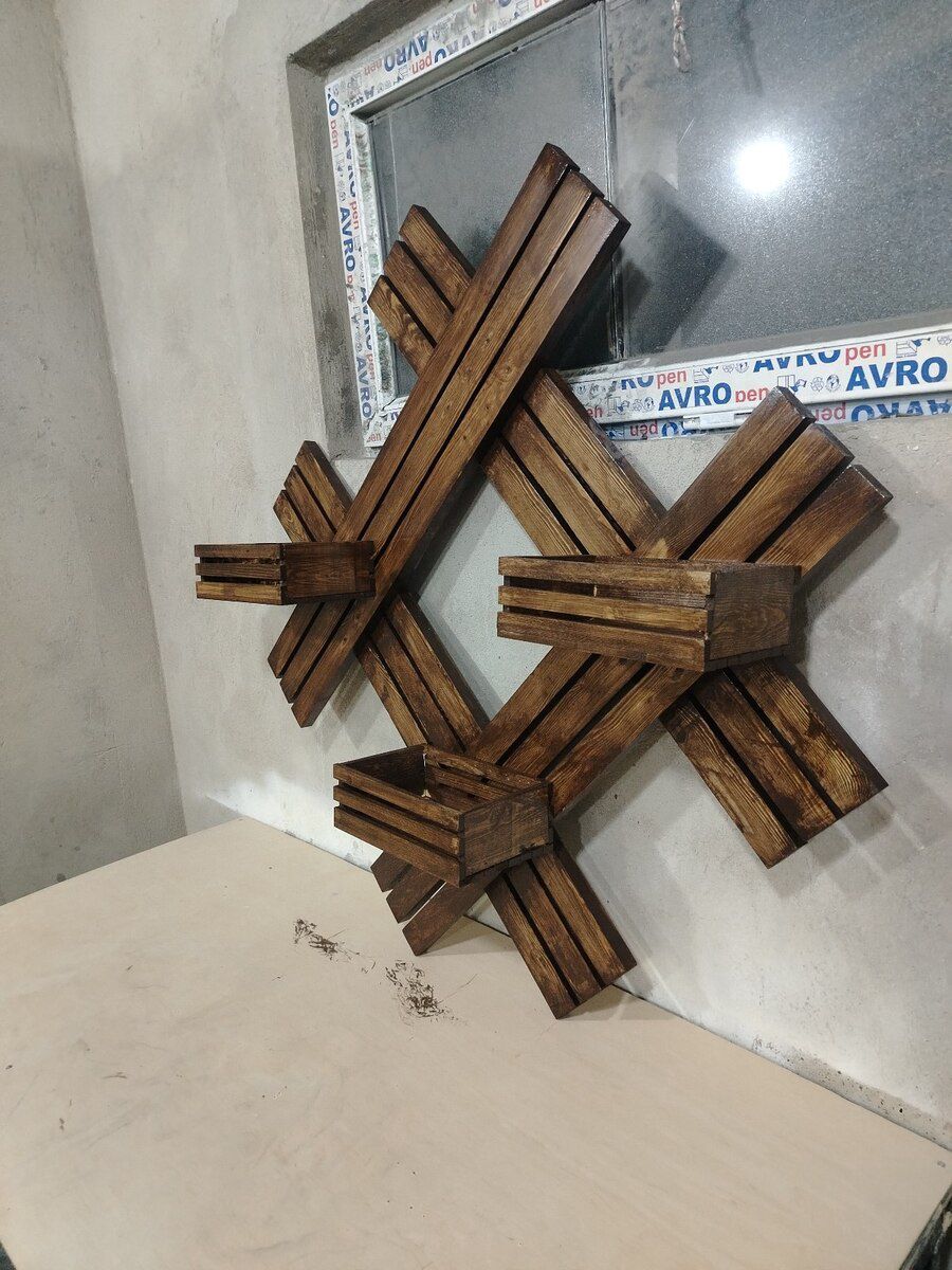 Taxta dibçək — Bitkilər, Bakı (2)