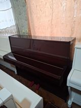 Sholze Fortepiano — İdman, hobbi, istirahət