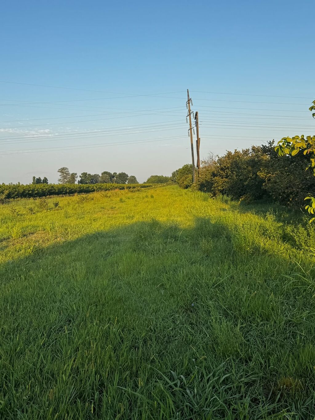 237 sot, Kənd təsərrüfatı, Mülkiyyətçi, Kupça (Çıxarış) — Torpaq, Xırdalan (4)