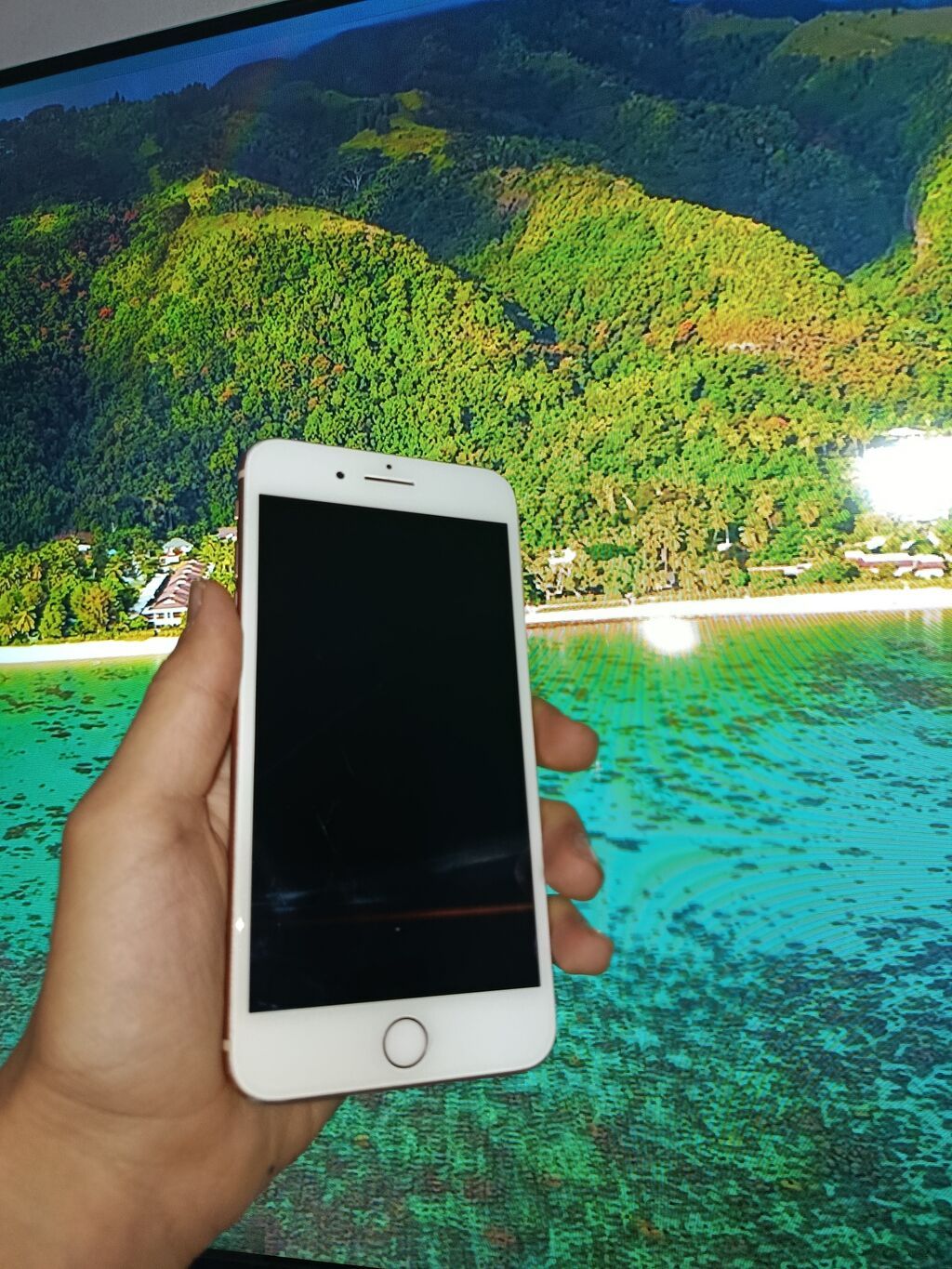 IPhone 8 Plus, Qızılı, Barmaq izi — Apple iPhone, Bakı (5)