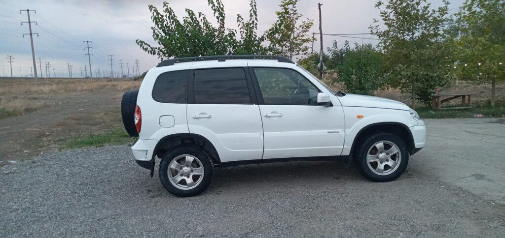 Chevrolet Niva, 1.7 L, 2013 il, 200 000 km — Avtomobillər, Bərdə (6)