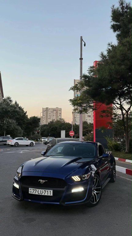 Ford Mustang, 2.3 L, 2016 il, 104 000 km — Avtomobillər, Bakı (7)