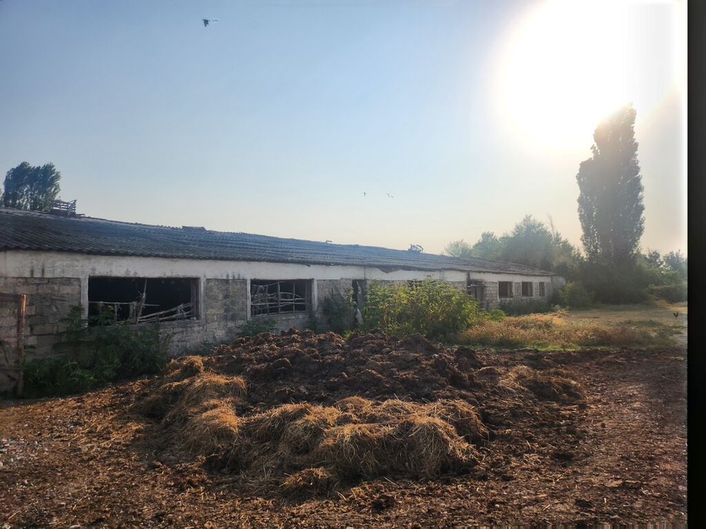 Ferma təsərrüfatı üçün daş konstruksiyalı iri təsərrüfat binaları və — Daşınmaz əmlak, İsmayıllı (5)