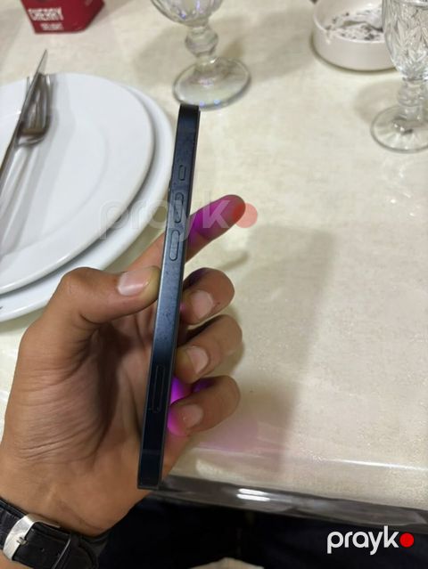 IPhone 13, Qara