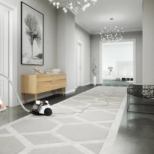 Electrolux tozsoran — Mallar, Bakı (4)