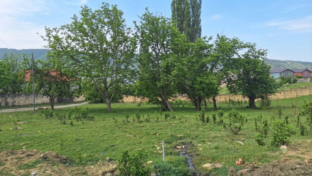10 sot torpaq sahəsi, Quba ş. — Torpaq, Quba (6)
