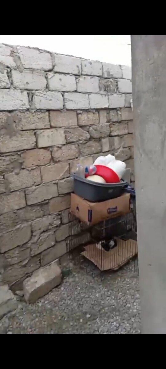 2-otaqlı yeni tikili, Binə qəs., 100 m² — Mənzil, Bakı (2)