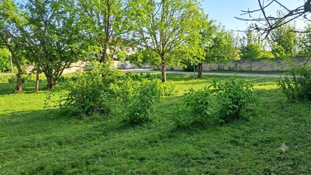 10 sot torpaq sahəsi, Quba ş. — Torpaq, Quba (5)