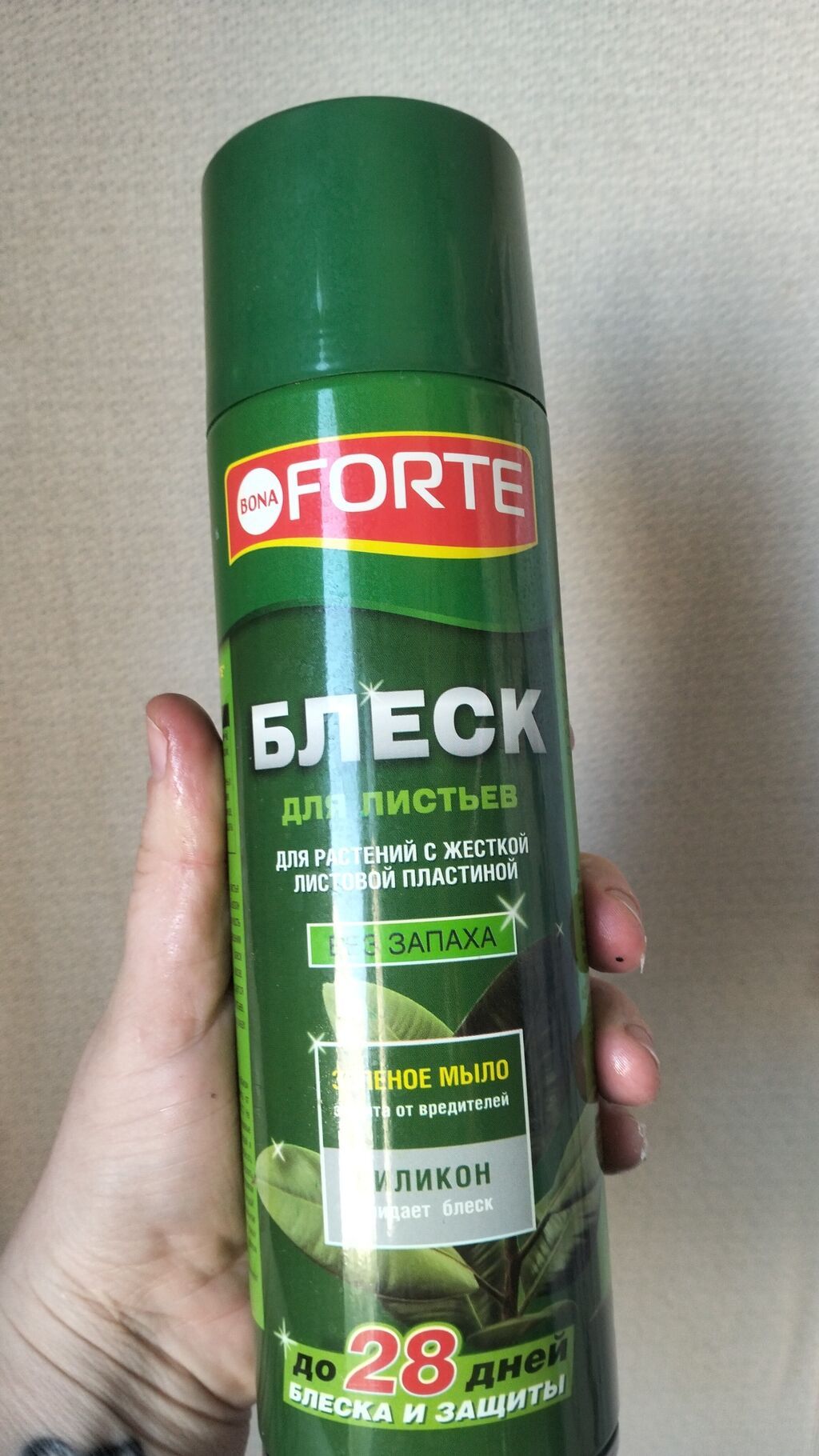 Bağ və otaq bitkiləri üçün peşəkar qulluq dəsti 1) Bona Forte “Blesk — Bitkilər, Bakı