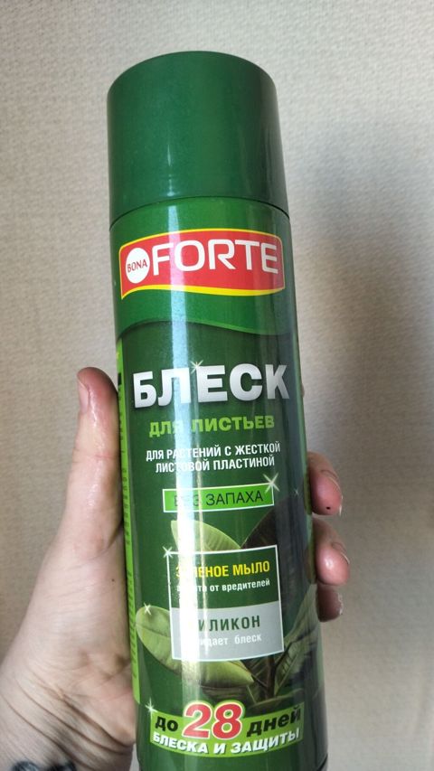 Bağ və otaq bitkiləri üçün peşəkar qulluq dəsti 1) Bona Forte “Blesk — Bakı