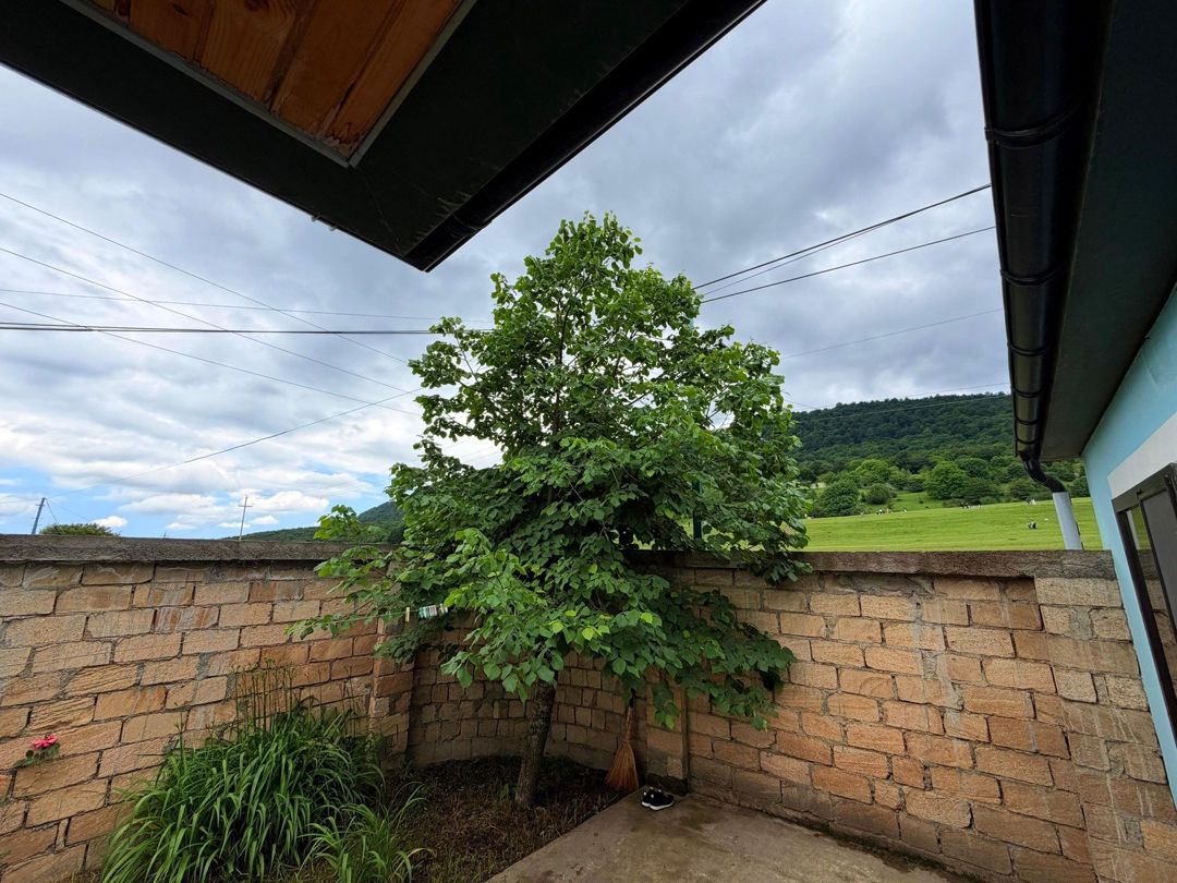 Həyət evi kirayə verilir, Quba r. — Ev, villa, Quba (12)