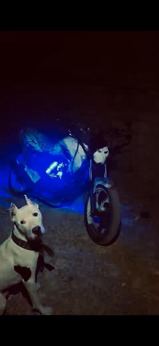 Motosiklet "Tufan S150", 2023 il — Avto, Bakı (3)