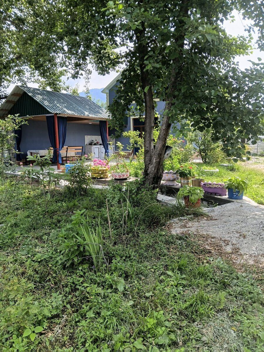 Həyət evi kirayə verilir, İsmayıllı r. — Ev, villa, İsmayıllı (4)