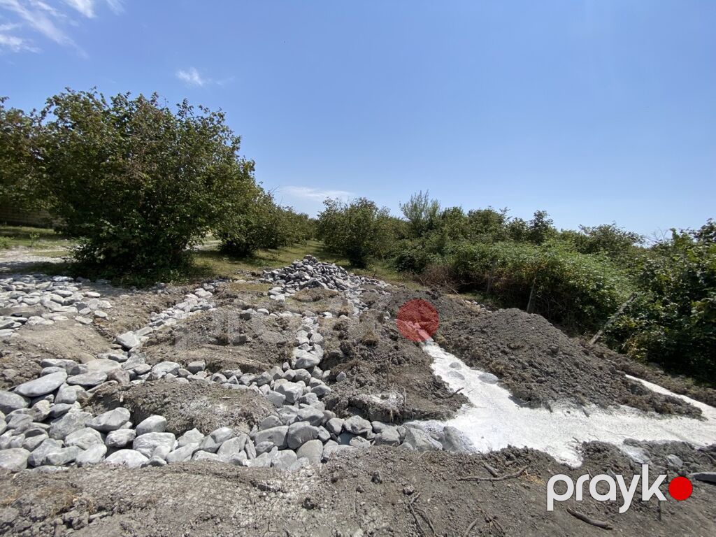 Tikinti — Torpaq, Bakı (6)