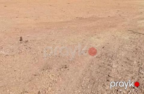 Torpaq sahəsi. Şəkillərdə açıq, düz relyefli torpaq sahəsi görünür