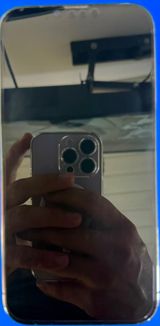 Apple iPhone 13 Pro Max Alpine Green 256GB/6GB — Smartphones