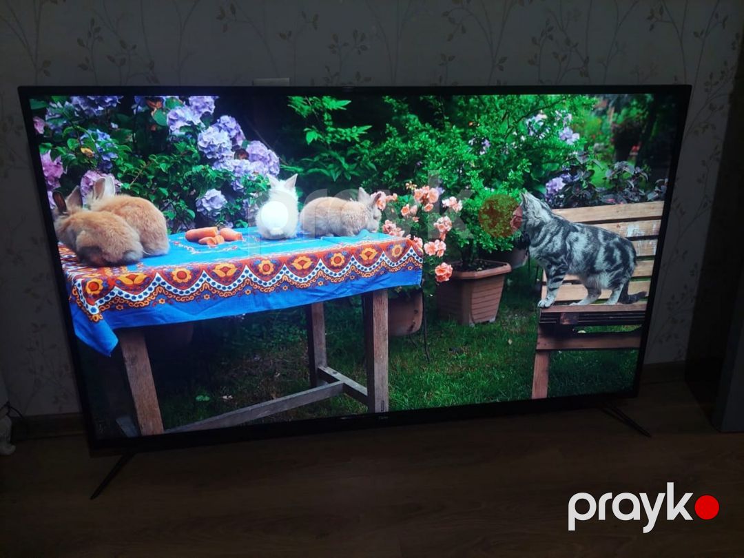 Televizor Ficher Smart 165SM — TV və Video, Bakı (3)