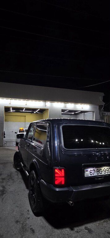 LADA (VAZ) Niva, 1.7 L, 2014 il, 250 000 km — Avtomobillər, Bakı (10)
