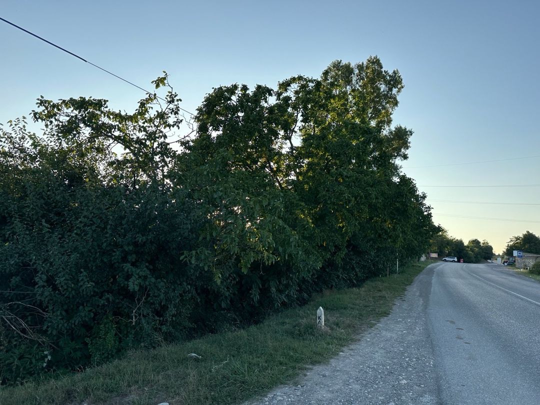 21 sot torpaq sahəsi, Quba r. — Torpaq, Quba