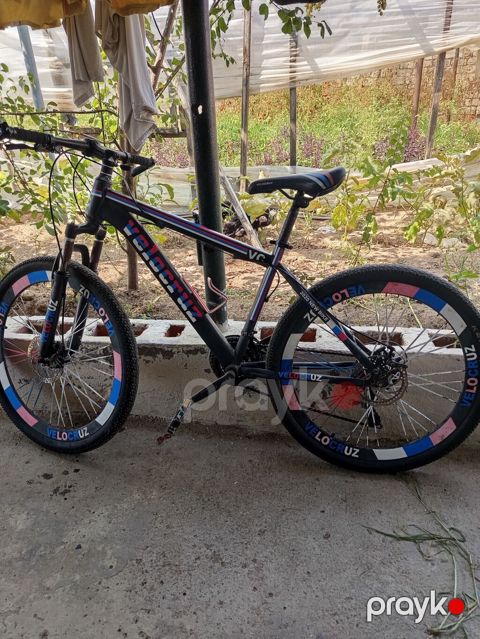 Velocruz dağ velosipedi. Qara rəngli çərçivəyə sahibdir və üzərində