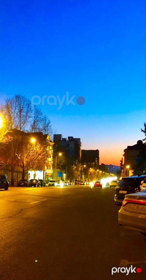 Ofis icarəyə verilir, Məmməd Araz küç.