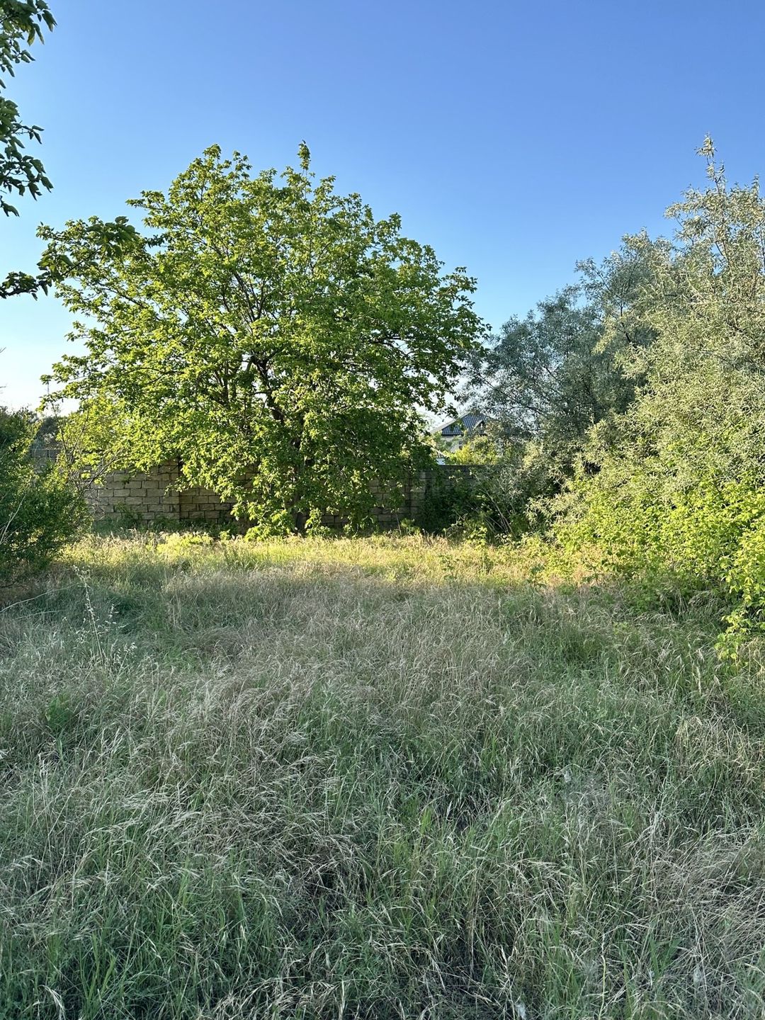 4 sot torpaq sahəsi, Novxanı qəs. — Torpaq, Bakı (3)