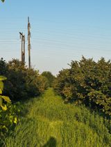 237 sot, Kənd təsərrüfatı, Mülkiyyətçi, Kupça (Çıxarış) — Daşınmaz əmlak